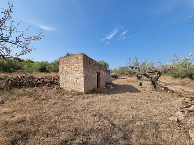 Oportunidad Única: Finca con Casitas Típicas y Entorno Privi - foto 4