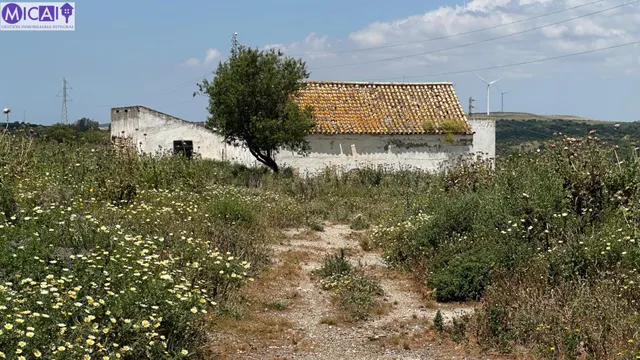 En venta: 3 hectareas con casa y nave en el Pago de la Guant