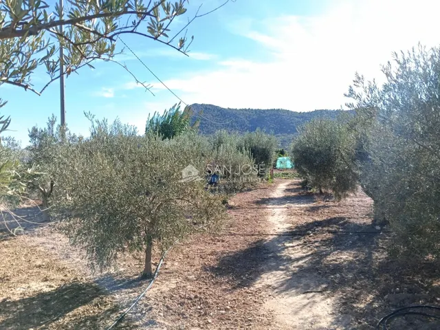 SE VENDE CHALET EN BUEN ESTADO EN ASPE ZONA CARRETERA DE LA ROMANA — 22