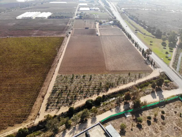 FINCA RÚSTICA CON ARBOLES FRUTALES Y CUADRA DE CABALLOS — 3