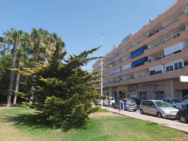 Precioso estudio, zona Acequion- Torrevieja, a tan solo 250 m de la playa — 4
