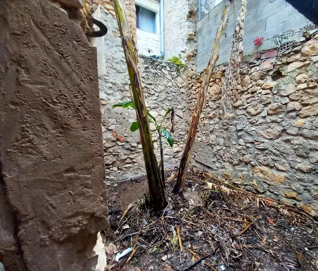 Casa a reformar  - Alcanar - Tarragona — 34