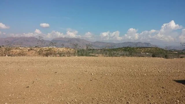 TERRENO RUSTICO EN ORIHUELA  TOTALMENTE VALLADO CON NAVE — 4