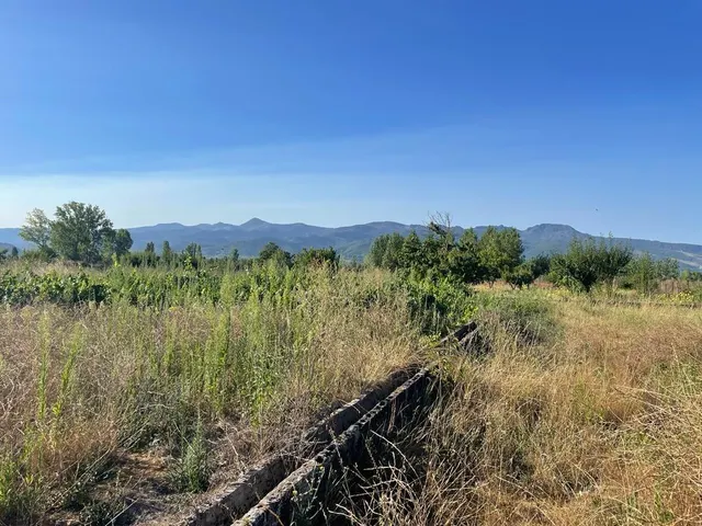 SE VENDE PARCELA CON CASETA — 29