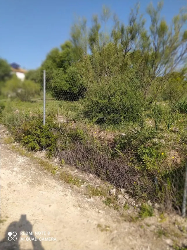 ZONA CIGARRA BAJA - Parcela de terreno de 700 m2 con punto d