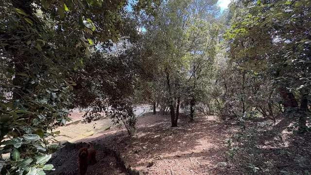 TERRENO URBANO EN SANT FELIU DEL RACÓ — 11