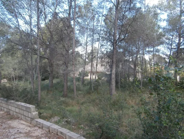SUELO RUSTICO EN VENTA ZONA VALLETES DE BRU — 3