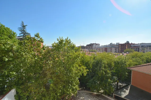 Luminosidad, tranquilidad y vistas despejadas en el barrio d - foto 5