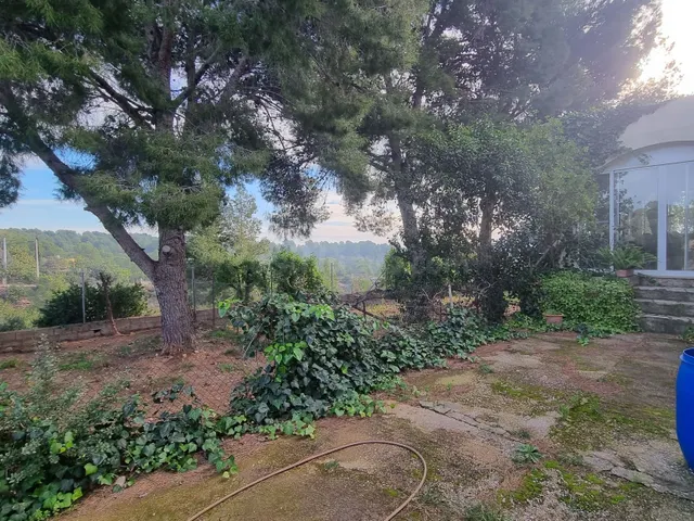 Sol, Barbacoas y Vistas: Vive la Libertad en este Espectacul - foto 3