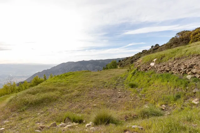 Cortijo Sierra Nigüelas — 43