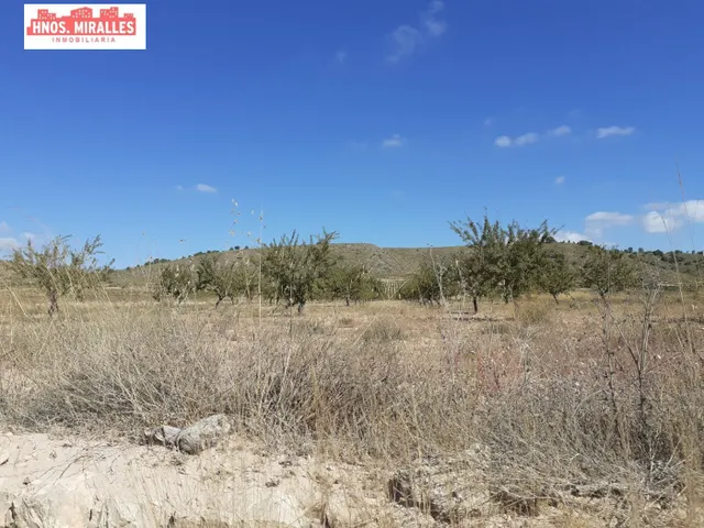SE VENDE PARCELA PARA PLANTA FOTOVOLTANICA O PARA EDIFICAR EN ABANILLA — 4