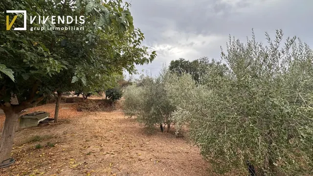 Terreno en venta - partida canet — 3