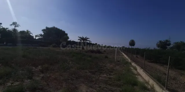 Terreno rural en Elche, 12000 m2 — 5