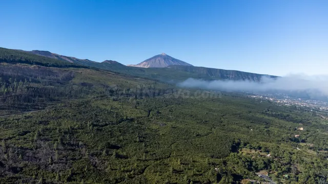 Venta de terreno en Aguamansa - foto 2