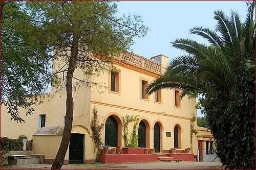 PROYECTO DE FINCA RÚSTICA