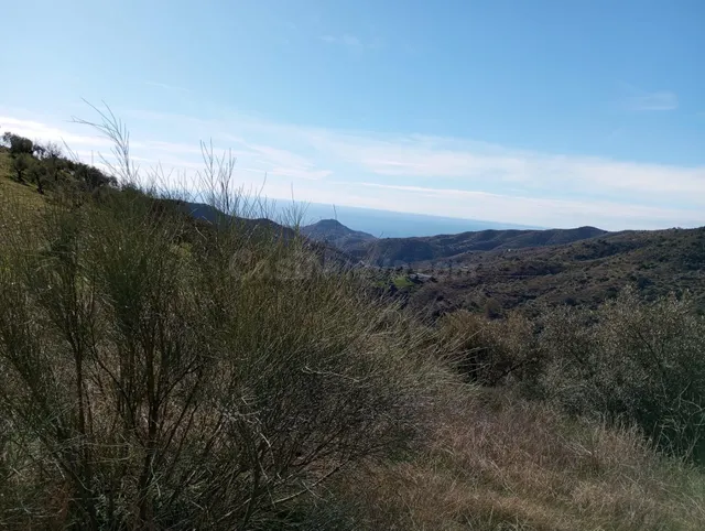 Terreno Rústico con Vistas Espectaculares en Totalán – Gran  - foto 4