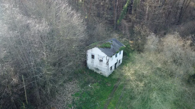 Oportunidad real: casa con parcela para rehabilitar en Tineo — 11