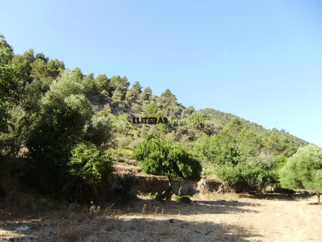 Fantástica finca para restaurar con vistas increíbles — 5