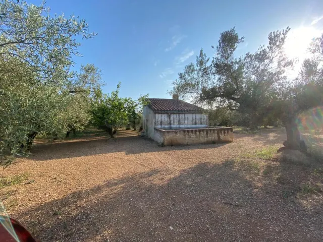 Fantástica finca con casa en la Miliana — 19