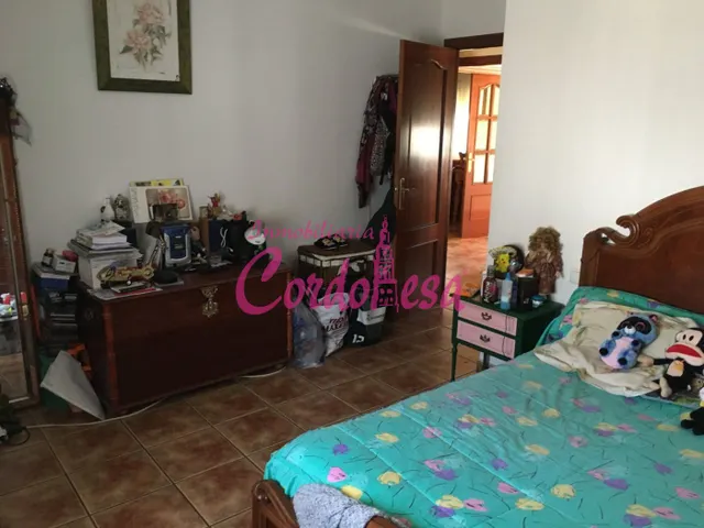 MAGNIFICO CASA CON TERRRENO EN ALCOLEA!! — 13