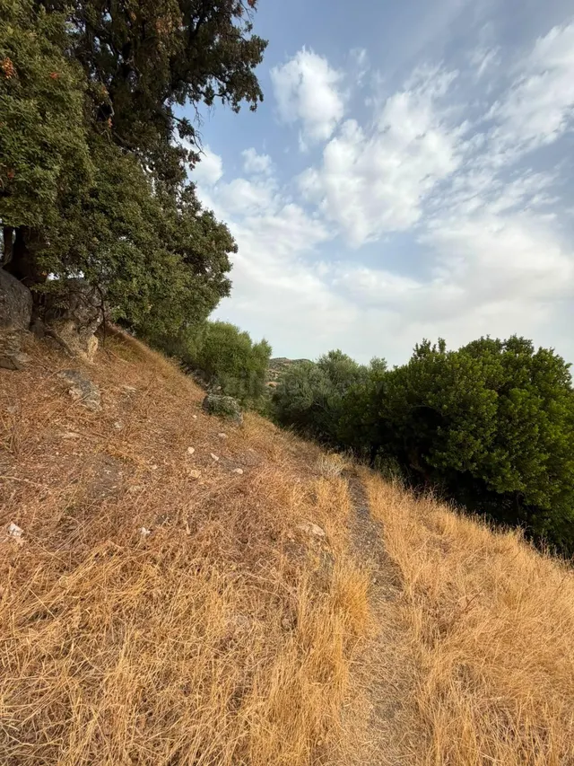 Terreno Rústico de 35 fanegas en FINCA LA SERENA! — 13
