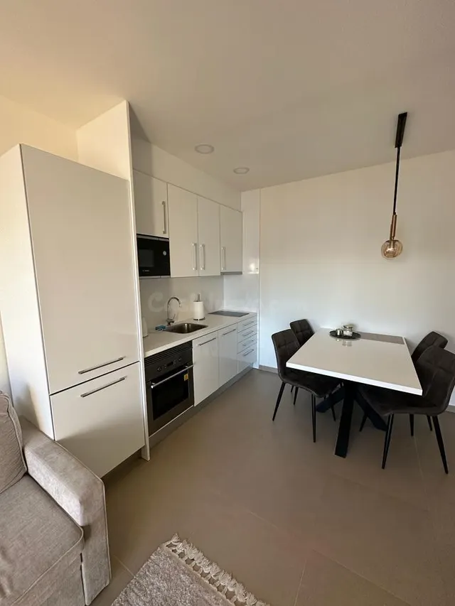 APARTAMENTO EN PONIENTE INTEMPO - foto 2