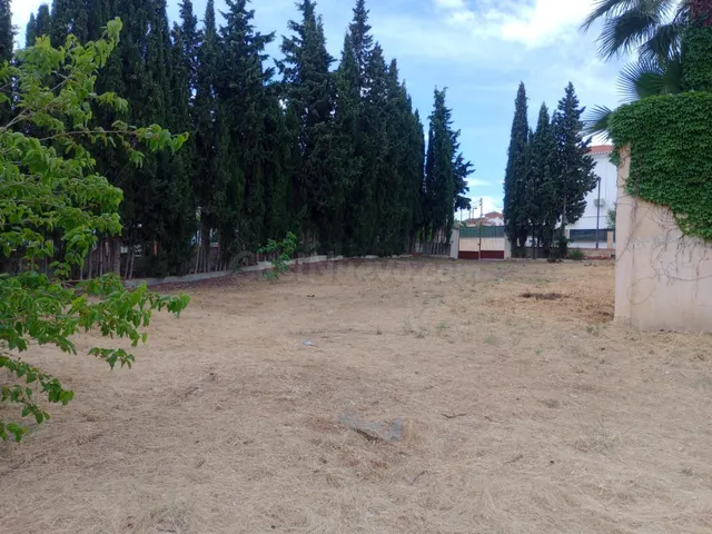 NO TRIBUTA IVA. Parcela urbana en esquina en Urbanización el - foto 5