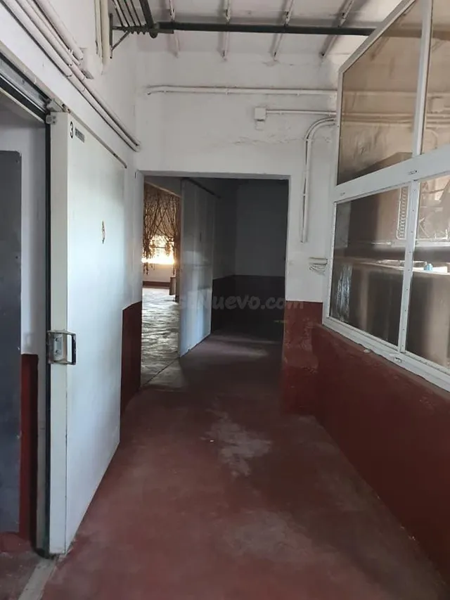 OPORTUNIDAD DE NAVE SECADERO DE JAMONES - foto 5