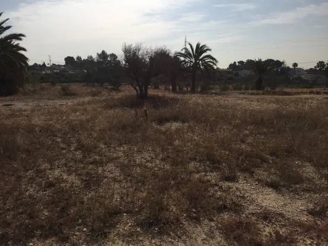 Parcela urbana de casi  30.000m2 en Elche - Zona Pena Las Aguilas — 15