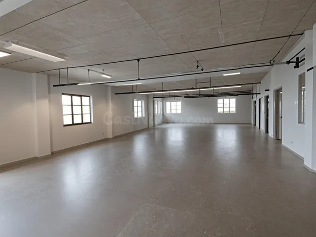 Amplio Local Comercial en Monovar - Oportunidad de Inversión - foto 5