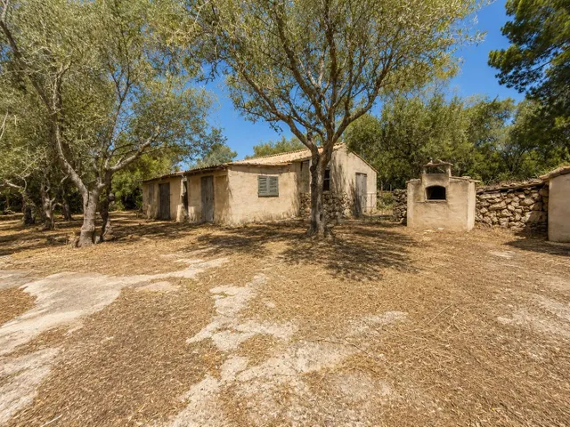 FINCA RUSTICA A REFORMAR EN COSTITX - foto 3