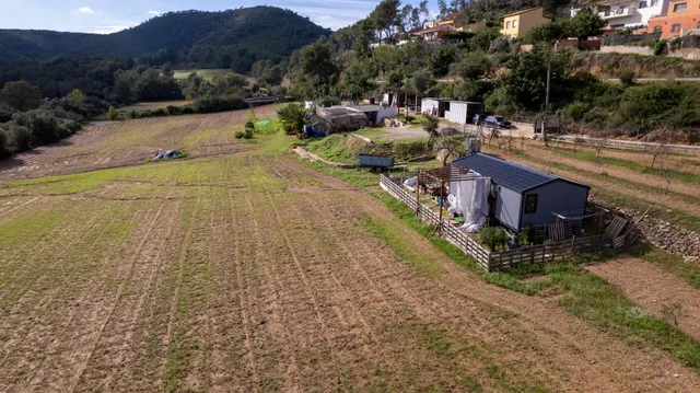 Finca Rústica de 20.000m2 con vivienda en venta. — 10