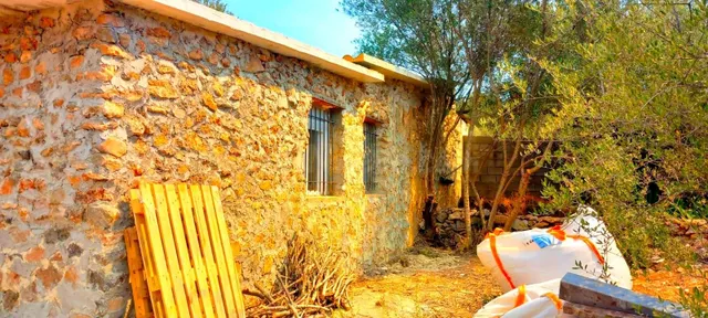 INCREIBLE TERRENO RÚSTICO CON PROYECTO DE VIVIENDA - foto 4