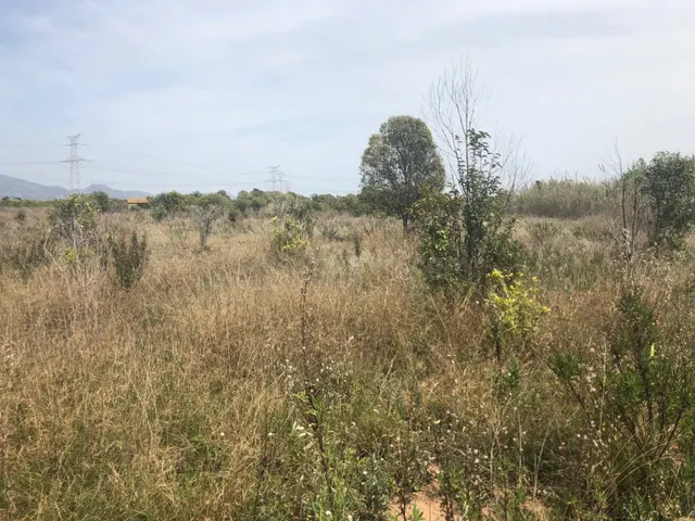Terreno rural VENTA, suelo rustico, en Castellón Partida ALM