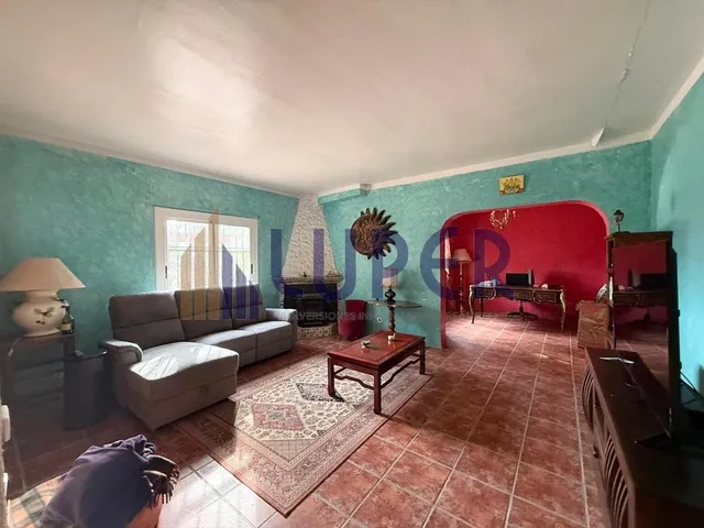 ✨ Una finca única para quienes buscan mucho más que una vivienda, en Alicante Tangel. — 13