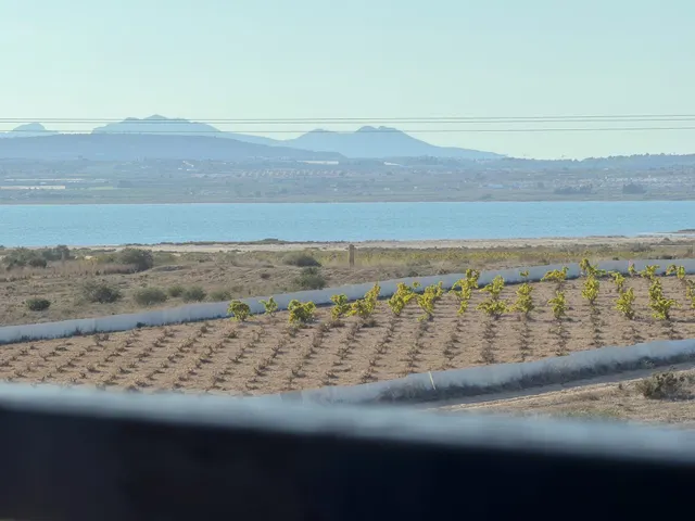 La Mata! Interesante ático con Gran Terraza e impresionantes vistas a la Laguna Rosa (300 mts playa) — 16