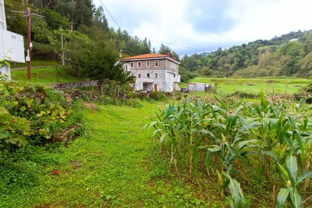 MAGNÍFICA CASA CON 51.000 METROS DE TERRENO EN PUTXETA - foto 5