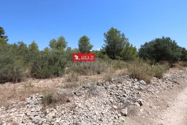 PARCELA AGRARIA CERCANA A LA POBLA DE VALLBONA-CASABLANCA - foto 3