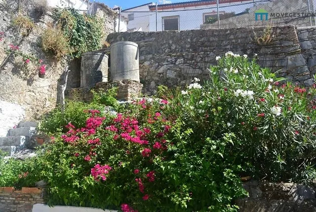 CASA EN VILLALUENGA DEL ROSARIO — 12
