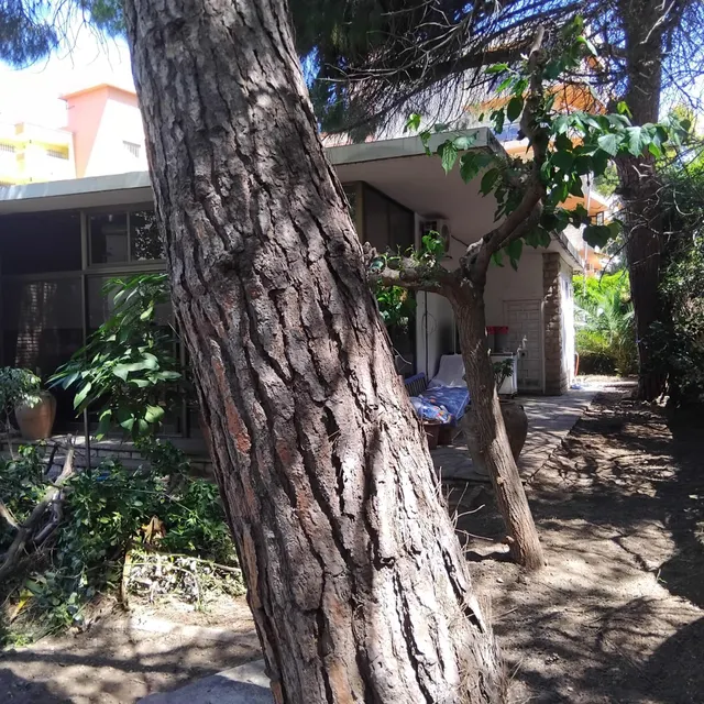 Precioso Chalet a 200 metros de Playa Levante — 24