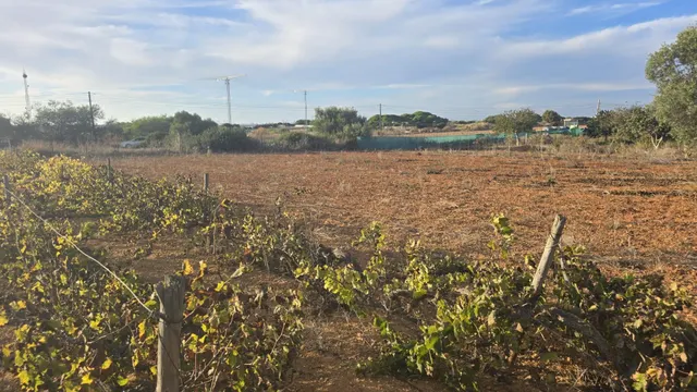 PARCELA -SEGREGADA CON REFUGIO EN ZONA PINAR DE LOS FRANCESES — 21