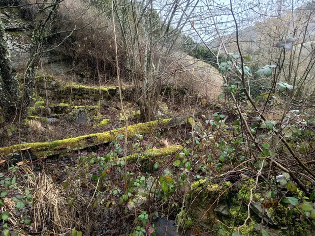 Terreno Orbaizeta — 18
