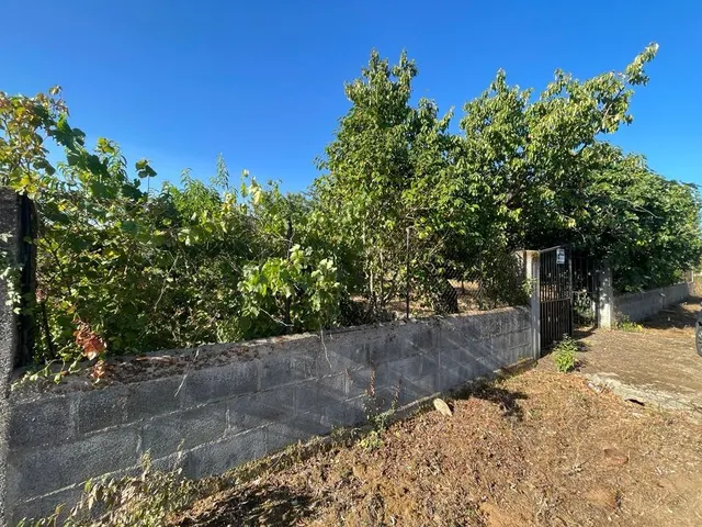 SE VENDE PARCELA CON CASETA — 2