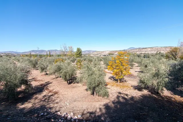 Hospederia rural en Huetor Tajar. — 41