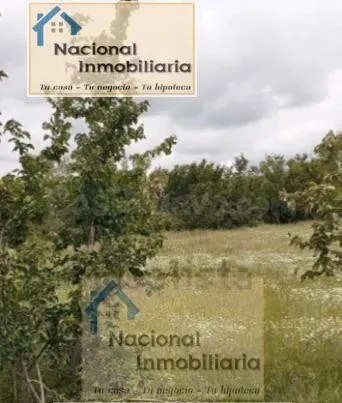 Suelo urbanizable en Venta en Santo Tome Del Puerto Segovia - foto 3
