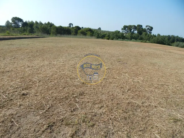 TERRENO EN ALBAIDA. — 5