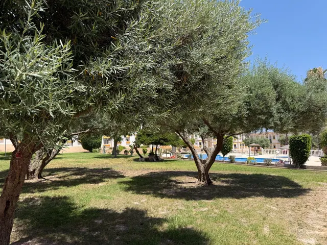 Apartamento 1 habitación 37m² en venta - Blue Lagoon - Galán — 8