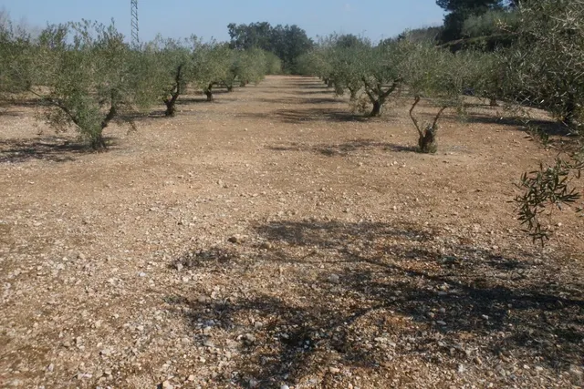 Terreno en la Ca Pallús - Ontinyent — 7