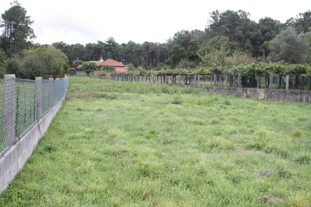 ¡¡¡¡TERRENO EDIFICABLE A 20 MIN DE VIGO, 5 MIN DE TUI Y 8 MIN DE TOMIÑO !!!!! — 3