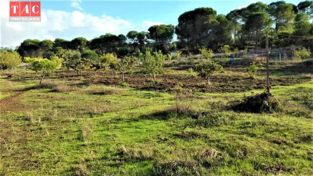 Finca con casa — 6